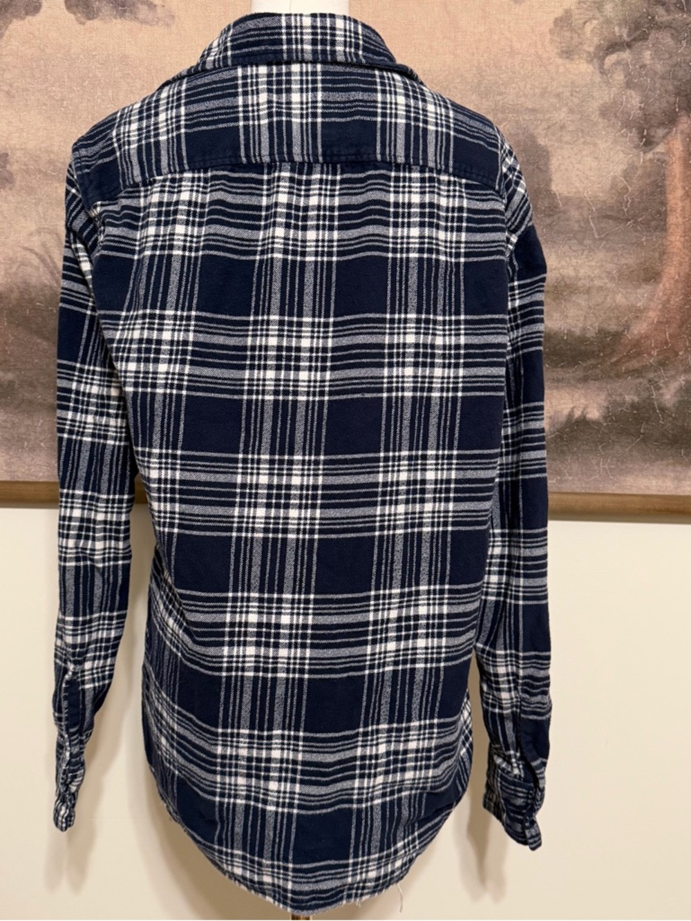 American Eagle Outfitters Navy and White Plaid Button-Up Flannel - Picture 3 of 4